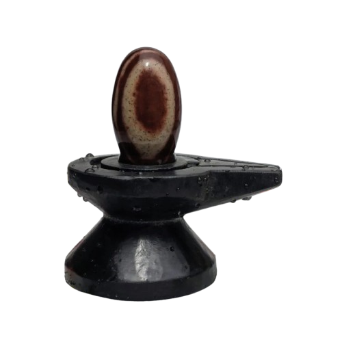 Narmadeshwar Shivling